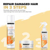 Toni & Guy Damage Repair Hair Mask | Intense Nourishing & Repair Formula | 200Ml