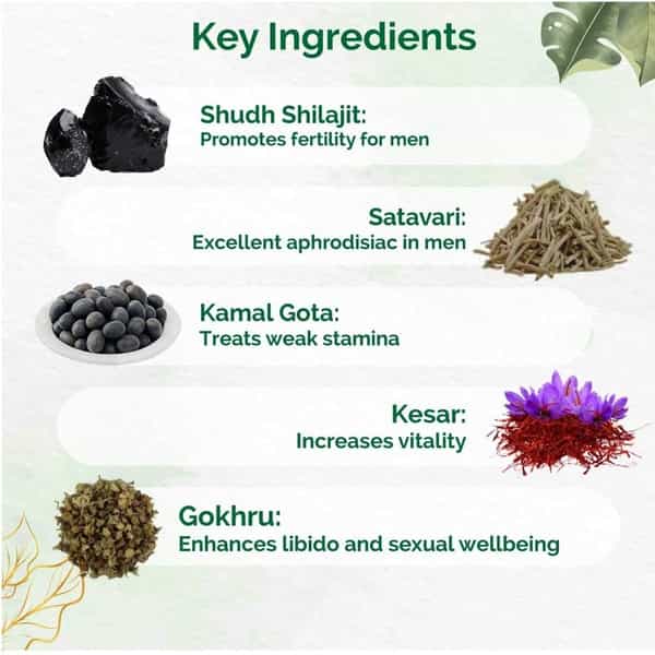 Dr. Vaidya's Herbo24turbo - Ayurvedic Capsules For Male Sexual Wellness - Pack Of 3