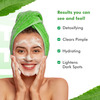 Raw Essentials Neem & Tea Tree Face Wash For Oily Skin & Acne - 150ml