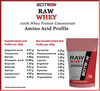 Scitron Raw Whey (100% Whey Protein Concentrate) - 1Lb (450G)