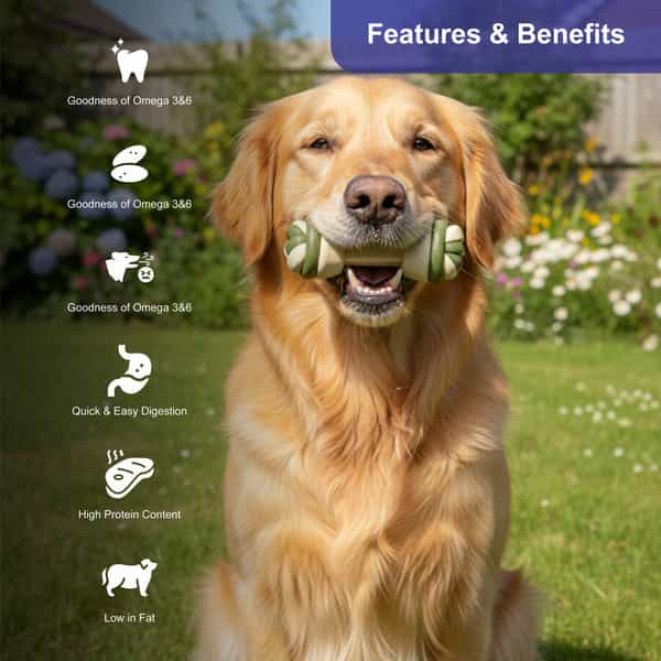 Snackers Non Rawhide Chews Two Tone Knotted Bone Dog Treats | 225 G
