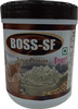 Boss Sf Soya Protein Chocolate Flavour Jar Of 200Gm Oral Powder