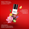 Neud Perfumed Body Sprays For Men Pack Of 3 (50 Ml Each)