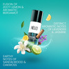 Neud Perfumed Body Sprays For Men Pack Of 3 (50 Ml Each)