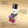 Neud Perfumed Body Sprays For Men Pack Of 3 (50 Ml Each)