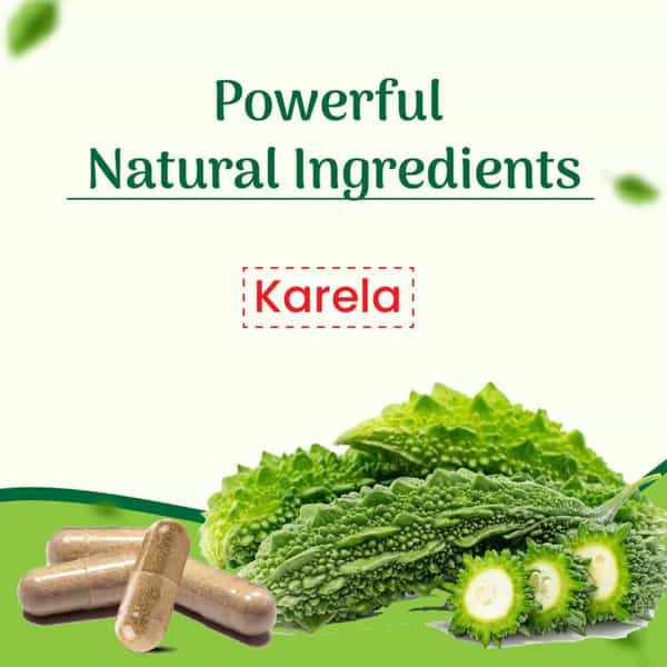 Cipzer Karela Capsule | Helps In Regulating Blood Sugar Level And Boost The Metabolism-60 Capsules