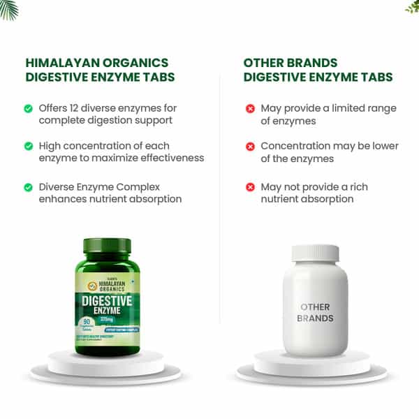 Vlado's Himalayan Organics Digestive Enzyme For Healthy Digestion- 90 Veg Tablets