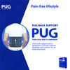 Pug Back Support Ergonomically Designed For The Indian Body Structure Pack Of 1