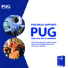 Pug Back Support Ergonomically Designed For The Indian Body Structure Pack Of 1