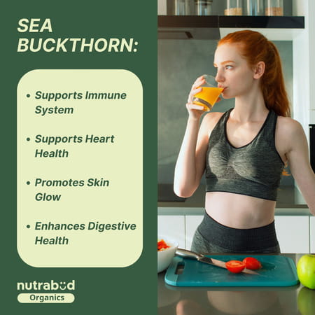 Nutrabud Organics Sea Buckthorn Powder | Natural Omega 3 | 6 | 7 | 9 & Antioxidants | 100g