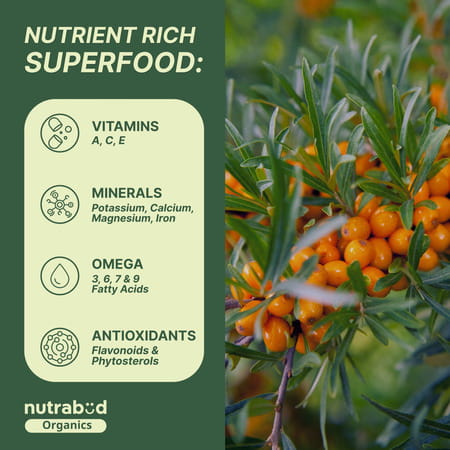 Nutrabud Organics Sea Buckthorn Powder | Natural Omega 3 | 6 | 7 | 9 & Antioxidants | 100g