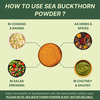 Nutrabud Organics Sea Buckthorn Powder | Natural Omega 3 | 6 | 7 | 9 & Antioxidants | 100G