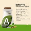 Myfitfuel Ashwagandha Root Extract (7% Withanolides) With Piperine 95% | (1000Mg) | 120 Capsules