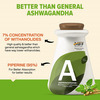 Myfitfuel Ashwagandha Root Extract (7% Withanolides) With Piperine 95% | (1000Mg) | 120 Capsules
