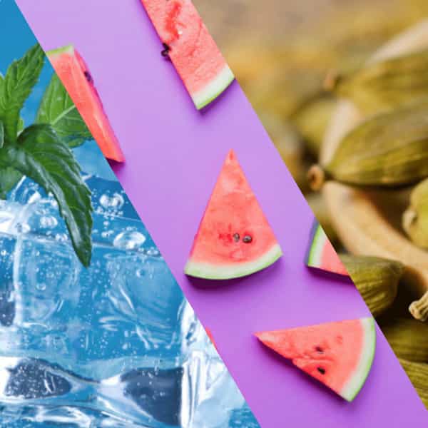 Staycool Breath Freshener Spray - Cool Mint Watermelon Cardamom - Pack Of 3