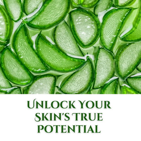 Xpel Marketing Aloe Vera Cream 500ml