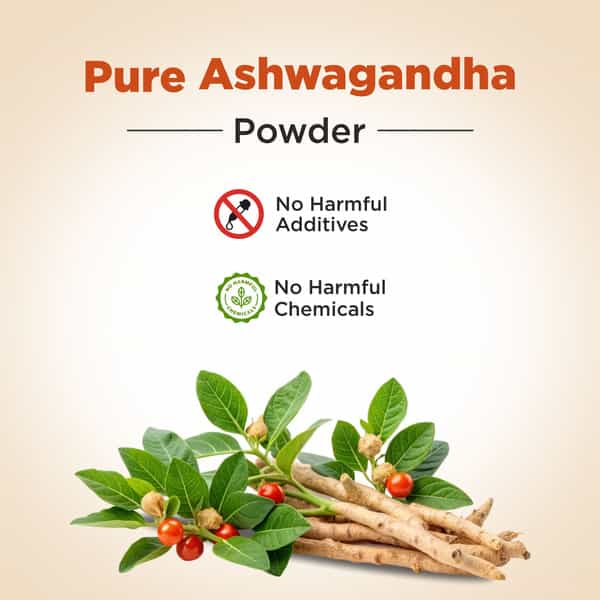 Four Seasons Ashwagandha Powder | Support For Stress | Mental Calmness & Anxiety Issues (Pack Of 2)