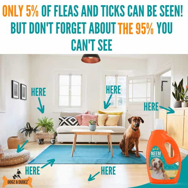 Dogz & Dudez Neem Floor Cleaner For Home And Kennel
