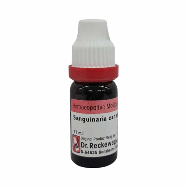 Dr. Reckeweg Sanguinaria Canadensis 30 Ch (11Ml)