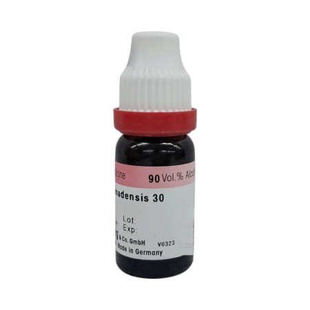 Dr. Reckeweg Sanguinaria Canadensis 30 Ch (11ml)