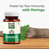 Everherb Moringa - Immunity Booster - Natural Multivitamin - Bottle Of 60 Capsules (By Pharmeasy)