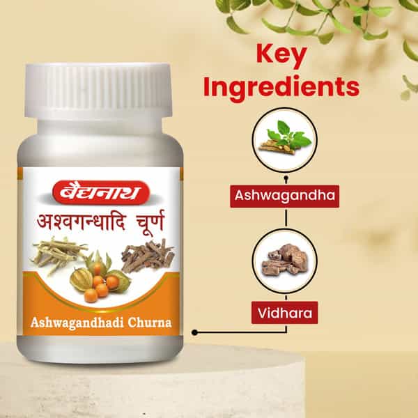 Baidyanath Ayurved Ashwagandhadi Churna 60G | Energy | Stamina & Stress Relief