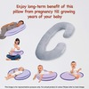 Femzy Pregnancy & Breastfeeding Pillow (Grey) 2500g