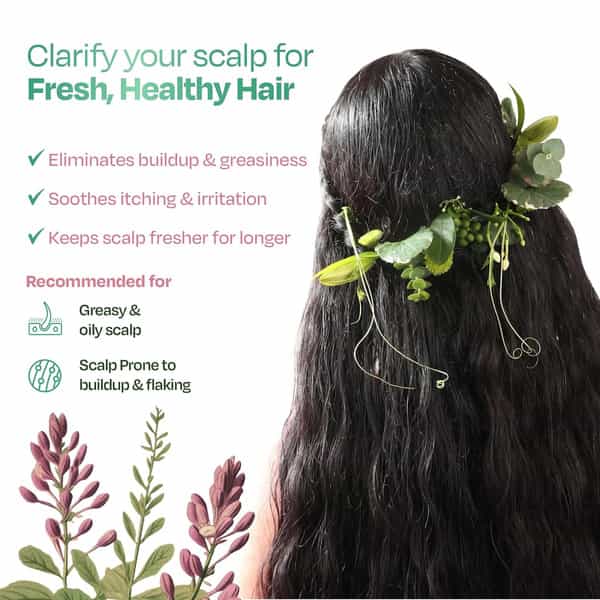 Sacred Grove Licorice & Peppermint Deep Clean Scalp Mask - 200Gms