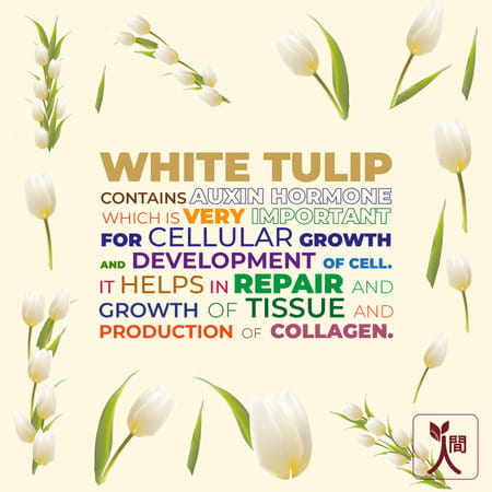 Ningen Diamond Bleach (Cream + Activator) White Tulip Extracts For Cleanser And Younger Skin - 43g