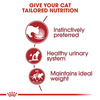 Royal Canin Instinctive | Adult Cat Food | 85 Grams | Pack Of 12 Sachet | Wet Food