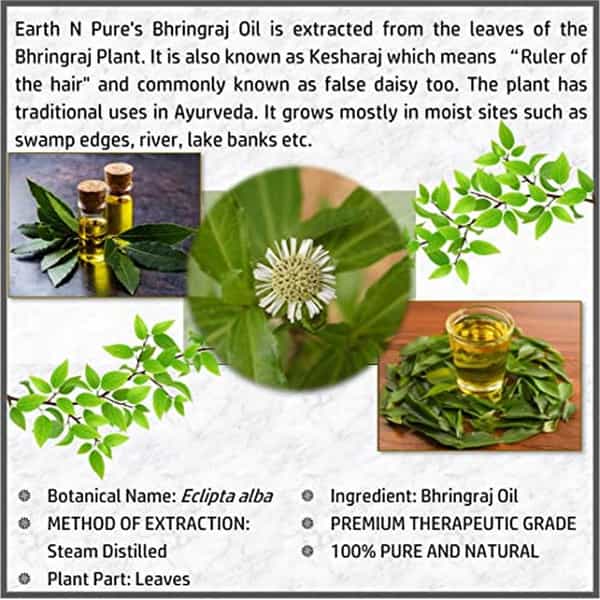 Earth N Pure Bhringraj Oil | 100 Ml (100 Ml)
