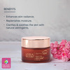 Lotus Professional Dermo Spa Bulgarian Rose Radiance And Renewal Night Creme 50G