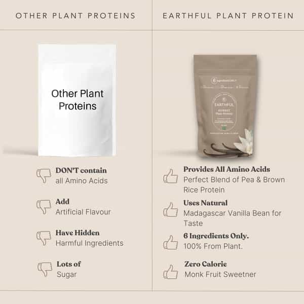 Earthful Plant Protein For Stamina-Madagascar Vanilla - Large Pack | 481 Grams