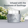 Lotus Whitening And Brightening Nourishing Night Cream 60 Gm