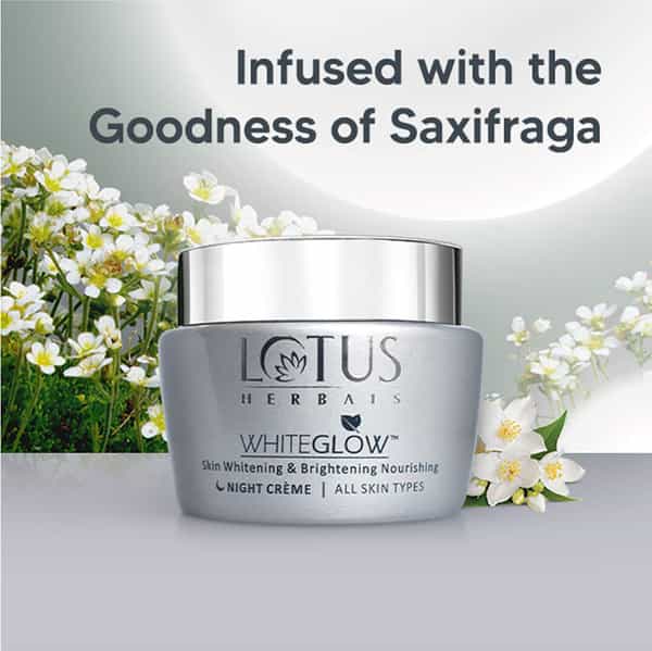 Lotus Whitening And Brightening Nourishing Night Cream 60 Gm