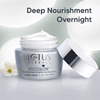 Lotus Whitening And Brightening Nourishing Night Cream 60 Gm