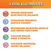 Enerzal Energy Drink Powder Lime Pack 500Gm.