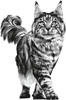Royal Canin Veterinary Satiety Support | Sat 34 | 1.5 Kg