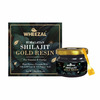 Wheezal Himalayan Shilajit Gold Resin (20 Gm)