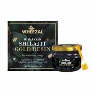 Wheezal Himalayan Shilajit Gold Resin (20 Gm)