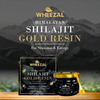 Wheezal Himalayan Shilajit Gold Resin (20 Gm)