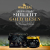 Wheezal Himalayan Shilajit Gold Resin (20 Gm)