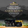 Wheezal Himalayan Shilajit Gold Resin (20 Gm)