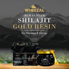 Wheezal Himalayan Shilajit Gold Resin (20 Gm)