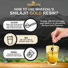 Wheezal Himalayan Shilajit Gold Resin (20 Gm)