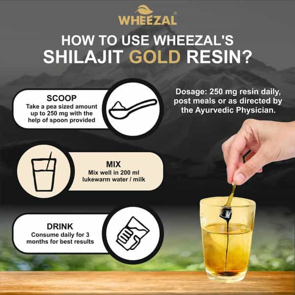 Wheezal Himalayan Shilajit Gold Resin (20 Gm)