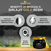 Wheezal Himalayan Shilajit Gold Resin (20 Gm)