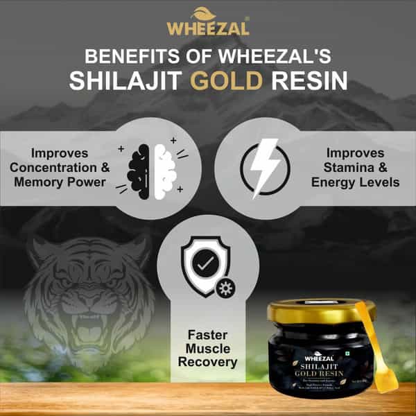 Wheezal Himalayan Shilajit Gold Resin (20 Gm)
