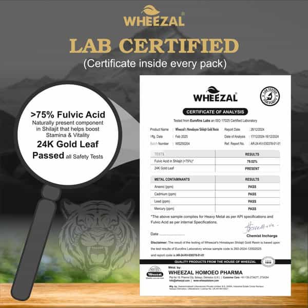 Wheezal Himalayan Shilajit Gold Resin (20 Gm)