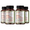Jiva Arjuna Tablets|Promotes Heart Health|Maintain Cholestrol Level - 120 Tabs (Pack Of 4)
